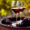 red-wine-grapes-min-e1710961366549